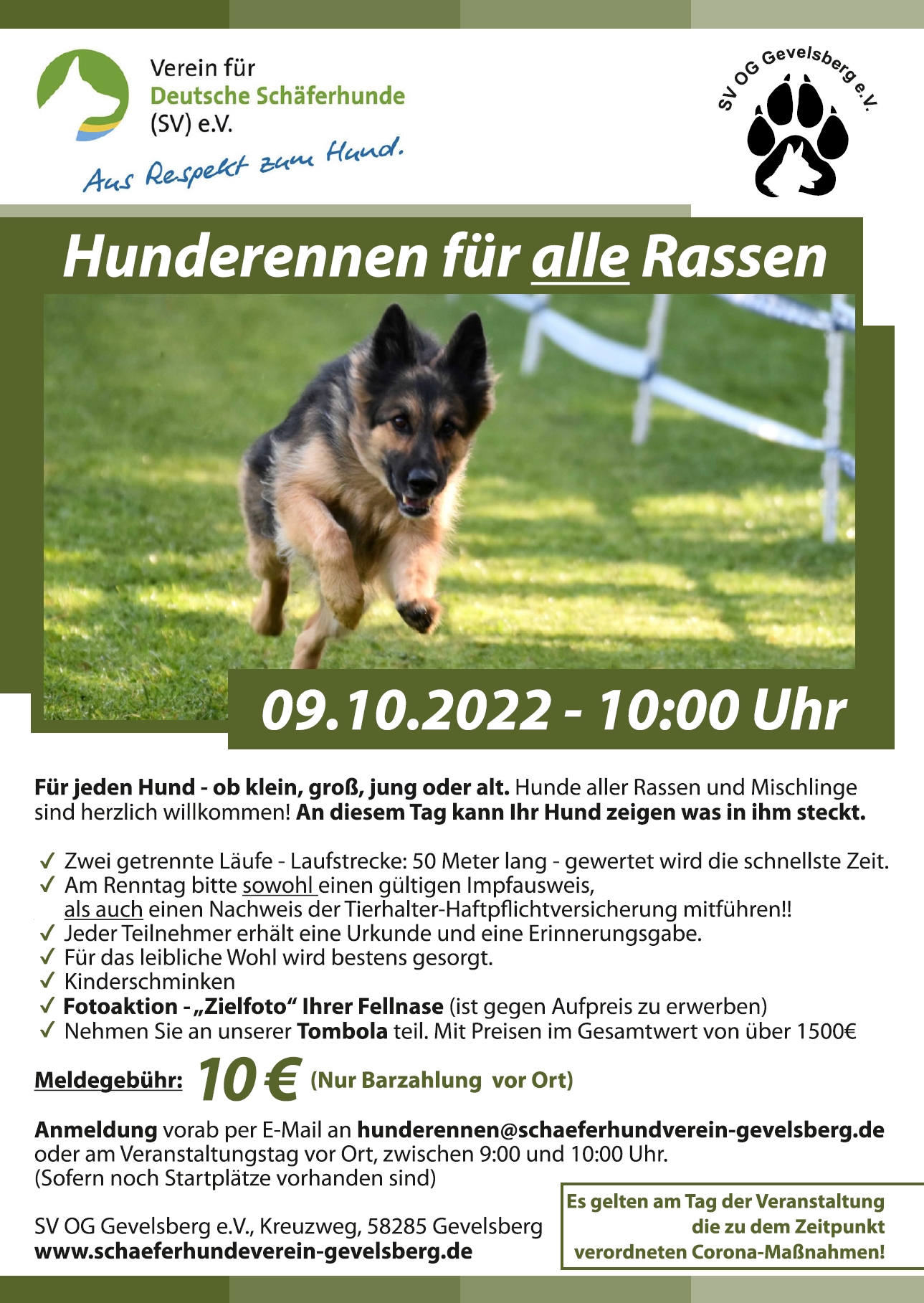 Plakat Hunderennen